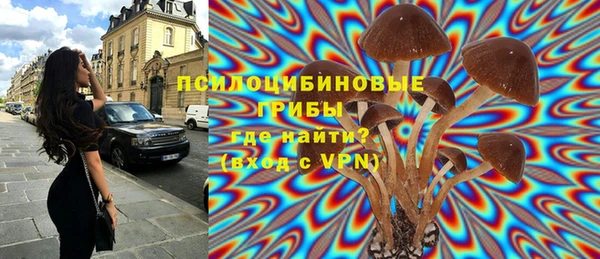 крисы Протвино