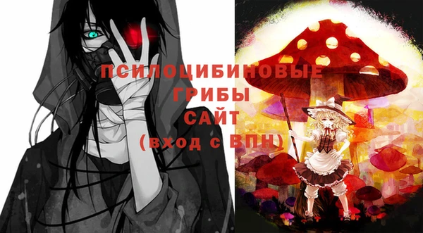 МДПВ Алексеевка