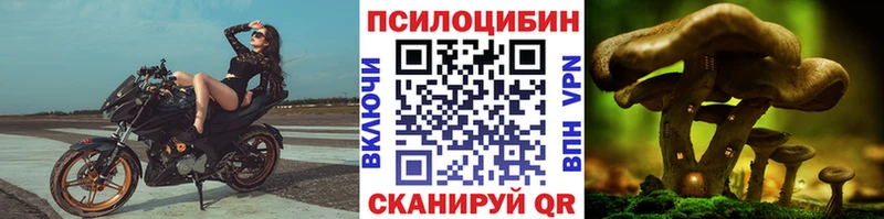Псилоцибиновые грибы мицелий  OMG сайт  Коряжма 
